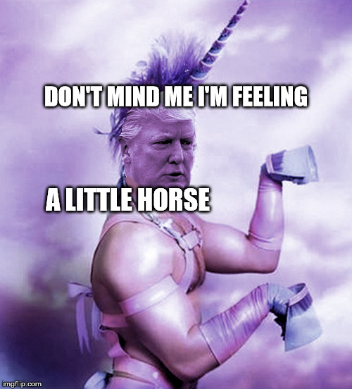 Trump Pony | DON'T MIND ME I'M FEELING; A LITTLE HORSE | image tagged in trump pony,unicorn man | made w/ Imgflip meme maker