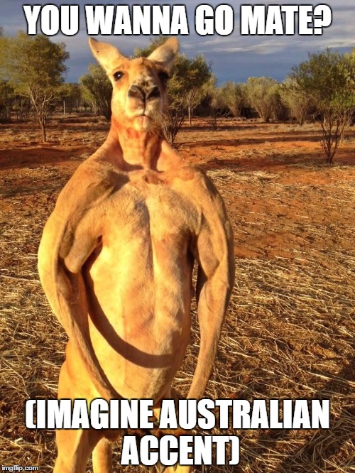 The native animal of australia everybody! | YOU WANNA GO MATE? (IMAGINE AUSTRALIAN ACCENT) | image tagged in buff kangaroo | made w/ Imgflip meme maker