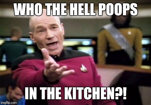 Picard Wtf Meme | WHO THE HELL POOPS IN THE KITCHEN?! | image tagged in memes,picard wtf | made w/ Imgflip meme maker