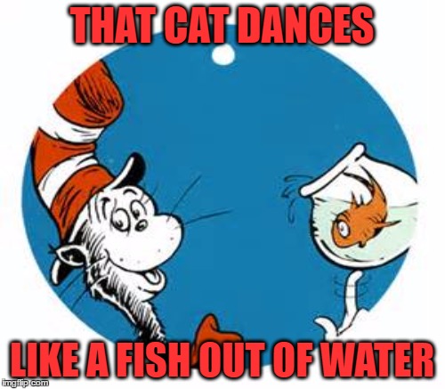 THAT CAT DANCES LIKE A FISH OUT OF WATER | made w/ Imgflip meme maker