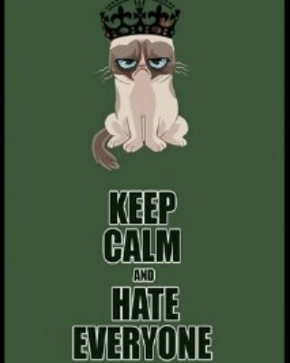 Grumpy cat meme meme Blank Meme Template