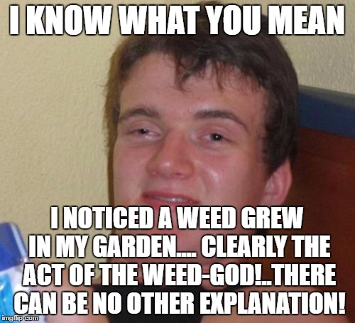 10 Guy Meme | I KNOW WHAT YOU MEAN I NOTICED A WEED GREW IN MY GARDEN.... CLEARLY THE ACT OF THE WEED-GOD!..THERE CAN BE NO OTHER EXPLANATION! | image tagged in memes,10 guy | made w/ Imgflip meme maker