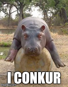 Happy hippo | I CONKUR | image tagged in happy hippo | made w/ Imgflip meme maker