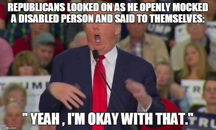 REPUBLICANS LOOKED ON AS HE OPENLY MOCKED A DISABLED PERSON AND SAID TO THEMSELVES:; " YEAH , I'M OKAY WITH THAT." | image tagged in politics | made w/ Imgflip meme maker