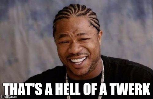 Yo Dawg Heard You Meme | THAT'S A HELL OF A TWERK | image tagged in memes,yo dawg heard you | made w/ Imgflip meme maker