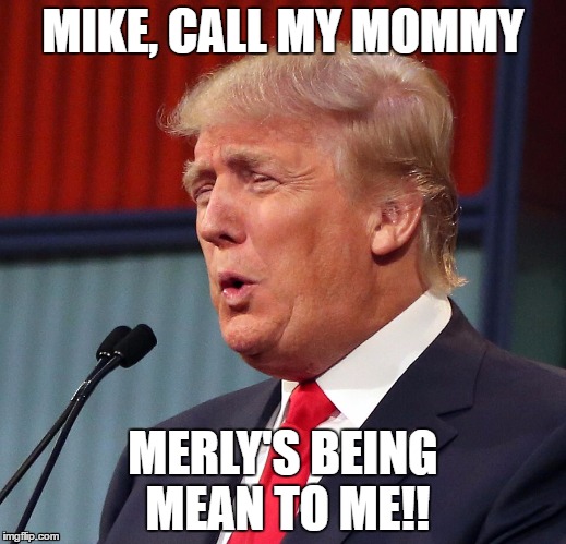 Call my mommy | MIKE, CALL MY MOMMY; MERLY'S BEING MEAN TO ME!! | image tagged in trump - meryl | made w/ Imgflip meme maker