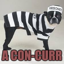 A CON-CURR | made w/ Imgflip meme maker