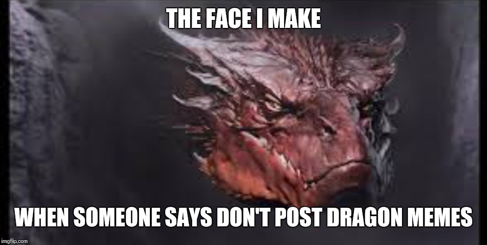 THE FACE I MAKE; WHEN SOMEONE SAYS DON'T POST DRAGON MEMES | image tagged in memes,dragons | made w/ Imgflip meme maker