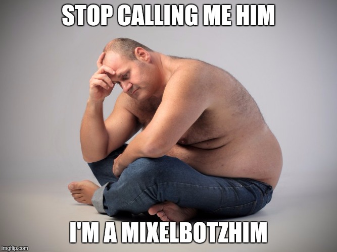 I'm not a him | STOP CALLING ME HIM; I'M A MIXELBOTZHIM | image tagged in gender identity | made w/ Imgflip meme maker