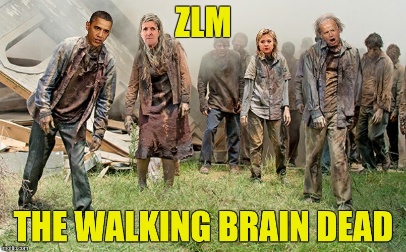 ZLM THE WALKING BRAIN DEAD | made w/ Imgflip meme maker