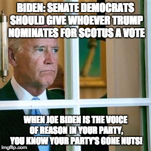 Joe biden | BIDEN: SENATE DEMOCRATS SHOULD GIVE WHOEVER TRUMP NOMINATES FOR SCOTUS A VOTE; WHEN JOE BIDEN IS THE VOICE OF REASON IN YOUR PARTY, YOU KNOW YOUR PARTY'S GONE NUTS! | image tagged in joe biden | made w/ Imgflip meme maker