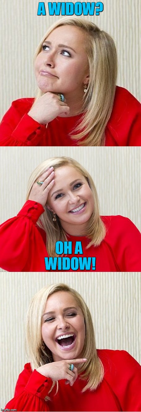 Bad Pun Hayden 2 | A WIDOW? OH A WIDOW! | image tagged in bad pun hayden 2 | made w/ Imgflip meme maker