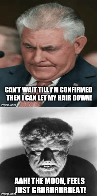 rexxon mobilson is the wolfman | CAN'T WAIT TILL I'M CONFIRMED THEN I CAN LET MY HAIR DOWN! AAH! THE MOON, FEELS JUST GRRRRRRRREAT! | image tagged in gifs,scumbag boss,scumbag republicans,scumbag,oil,conservative ceo | made w/ Imgflip meme maker