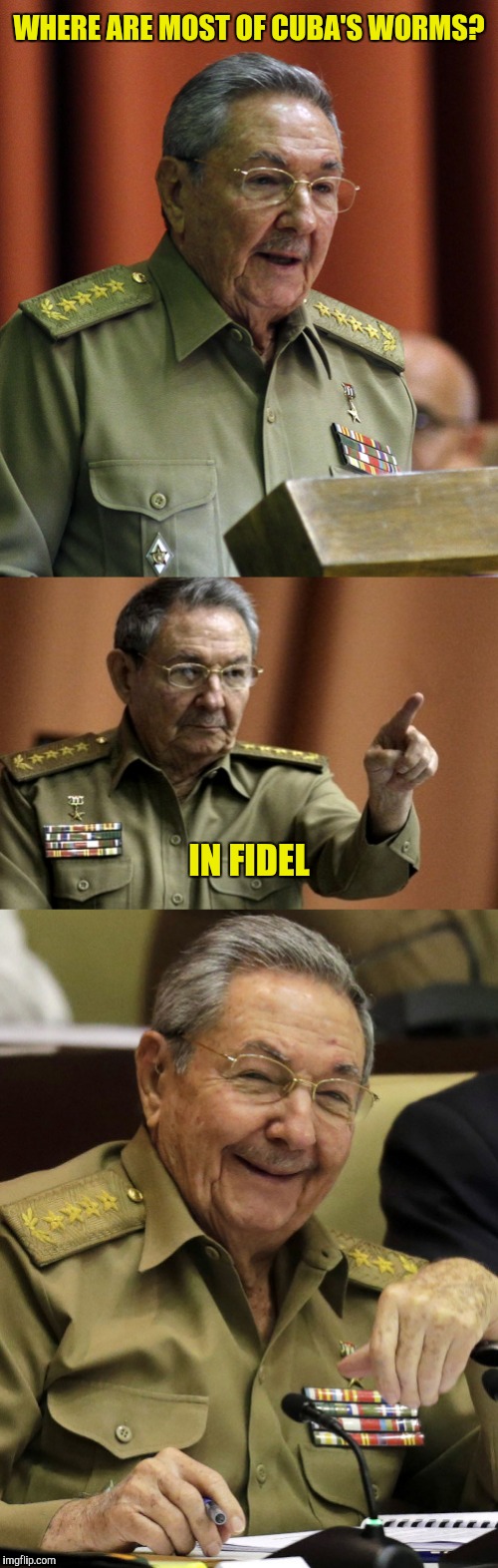 WHERE ARE MOST OF CUBA'S WORMS? IN FIDEL | made w/ Imgflip meme maker