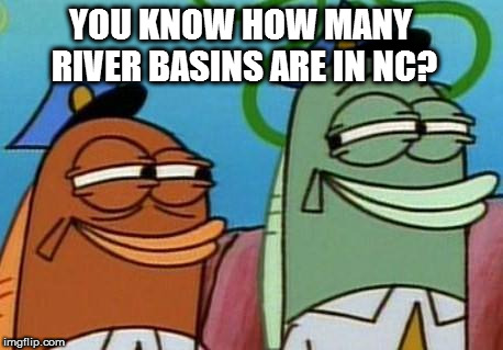 spongebob cop fish | YOU KNOW HOW MANY RIVER BASINS ARE IN NC? | image tagged in spongebob cop fish | made w/ Imgflip meme maker