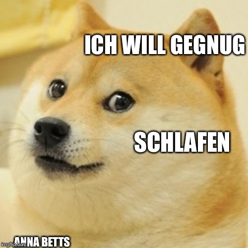 Doge Meme | ICH WILL GEGNUG; SCHLAFEN; ANNA BETTS | image tagged in memes,doge | made w/ Imgflip meme maker