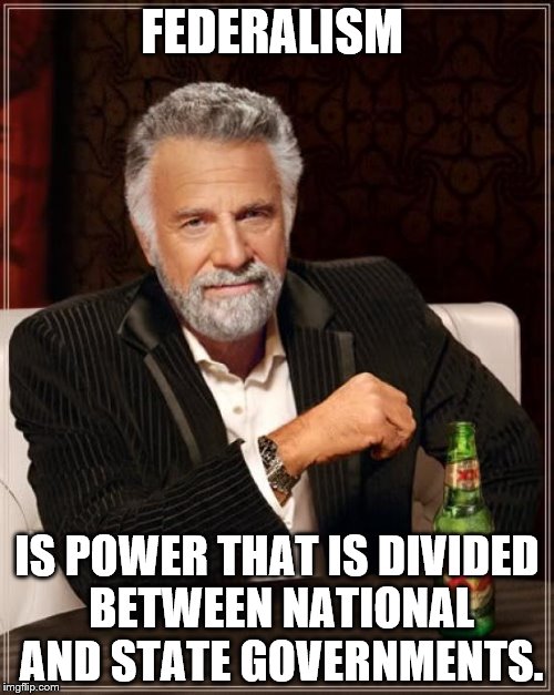 The Most Interesting Man In The World | FEDERALISM; IS POWER THAT IS DIVIDED BETWEEN NATIONAL AND STATE GOVERNMENTS. | image tagged in memes,the most interesting man in the world | made w/ Imgflip meme maker