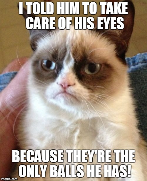 Grumpy Cat Meme | I TOLD HIM TO TAKE CARE OF HIS EYES; BECAUSE THEY'RE THE ONLY BALLS HE HAS! | image tagged in memes,grumpy cat | made w/ Imgflip meme maker