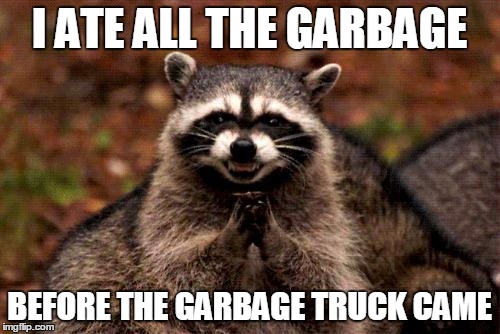 Evil Plotting Raccoon Meme | I ATE ALL THE GARBAGE; BEFORE THE GARBAGE TRUCK CAME | image tagged in memes,evil plotting raccoon | made w/ Imgflip meme maker