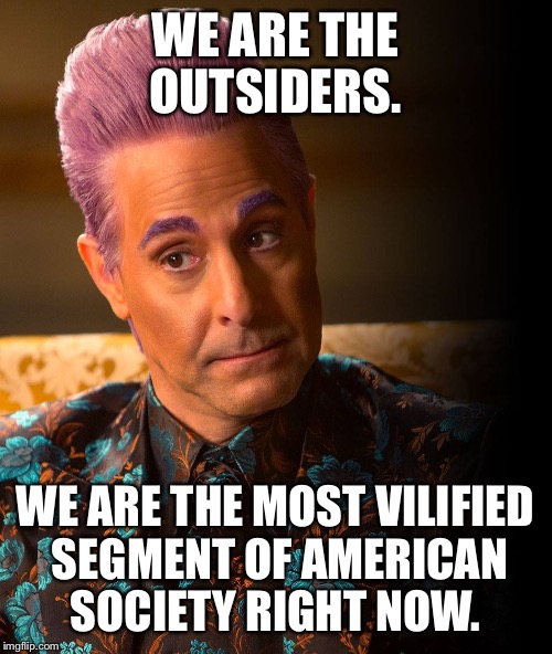 Sympathy for Meryl Streep | WE ARE THE OUTSIDERS. WE ARE THE MOST VILIFIED SEGMENT OF AMERICAN SOCIETY RIGHT NOW. | image tagged in meryl streep,vilified,donald trump | made w/ Imgflip meme maker