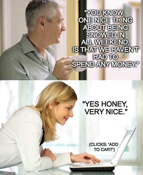 Not-So-Cheap Snow Days | "YOU KNOW, ONE NICE THING ABOUT BEING SNOWED IN ALL WEEKEND, IS THAT WE HAVEN'T HAD TO SPEND ANY MONEY."; "YES HONEY, VERY NICE."; (CLICKS: 'ADD TO CART') | image tagged in save money,man,woman,online shopping | made w/ Imgflip meme maker