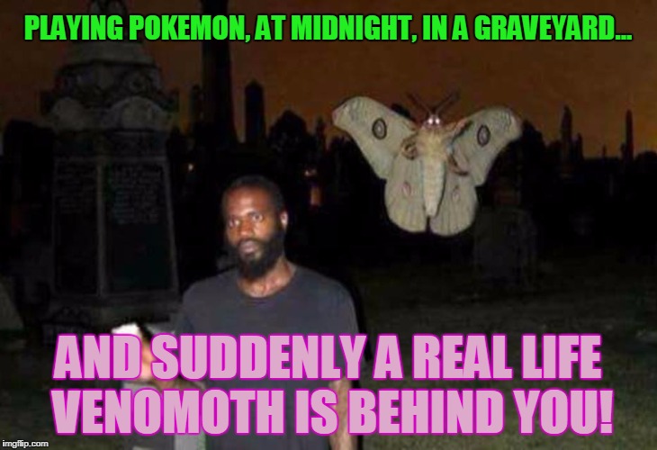 Mothra in the graveyard | PLAYING POKEMON, AT MIDNIGHT, IN A GRAVEYARD... AND SUDDENLY A REAL LIFE VENOMOTH IS BEHIND YOU! | image tagged in mothra in the graveyard | made w/ Imgflip meme maker