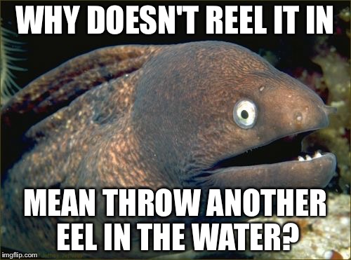 Bad Joke Eel | WHY DOESN'T REEL IT IN; MEAN THROW ANOTHER EEL IN THE WATER? | image tagged in memes,bad joke eel | made w/ Imgflip meme maker