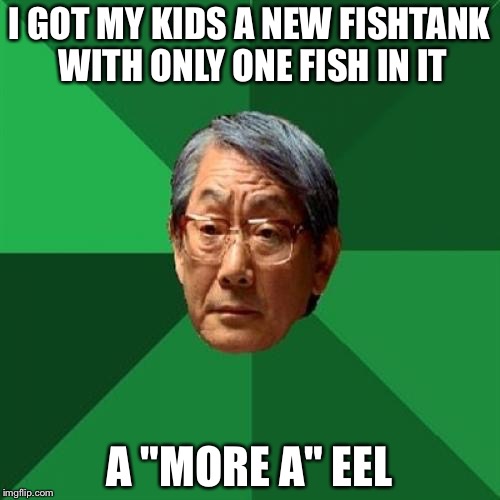 High Expectations Asian Father | I GOT MY KIDS A NEW FISHTANK WITH ONLY ONE FISH IN IT; A "MORE A" EEL | image tagged in memes,high expectations asian father | made w/ Imgflip meme maker