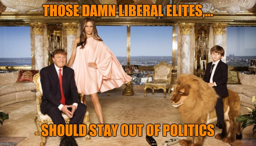 THOSE DAMN LIBERAL ELITES,... SHOULD STAY OUT OF POLITICS | made w/ Imgflip meme maker