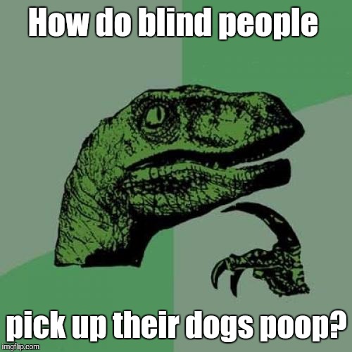 Philosoraptor Meme | How do blind people pick up their dogs poop? | image tagged in memes,philosoraptor | made w/ Imgflip meme maker