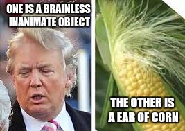 Who Wore It Better | ONE IS A BRAINLESS INANIMATE OBJECT; THE OTHER IS A EAR OF CORN | image tagged in who wore it better | made w/ Imgflip meme maker
