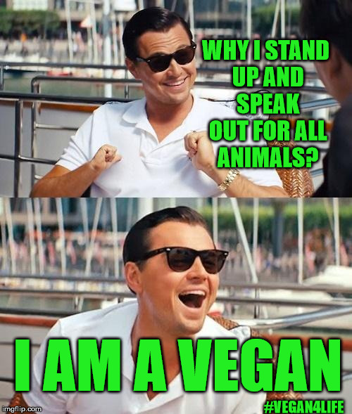 Leo should go vegan. | WHY I STAND UP AND SPEAK OUT FOR ALL ANIMALS? I AM A VEGAN; #VEGAN4LIFE | image tagged in memes,leonardo dicaprio wolf of wall street,funny memes,vegan4life | made w/ Imgflip meme maker