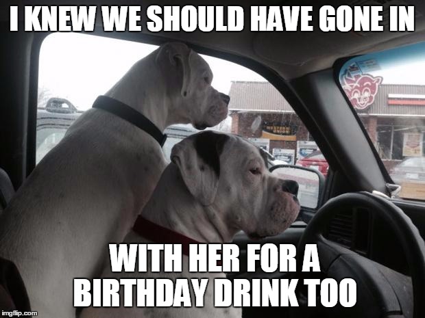 boxer brothers | I KNEW WE SHOULD HAVE GONE IN; WITH HER FOR A BIRTHDAY DRINK TOO | image tagged in boxer brothers | made w/ Imgflip meme maker