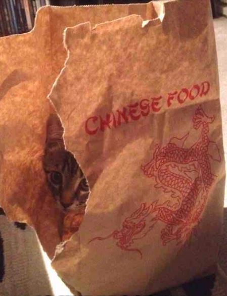 Chinese Food Not So Well Done Blank Meme Template