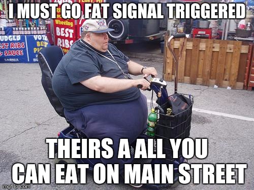 Fat guy on scooter | I MUST GO FAT SIGNAL TRIGGERED; THEIRS A ALL YOU CAN EAT ON MAIN STREET | image tagged in fat guy on scooter | made w/ Imgflip meme maker