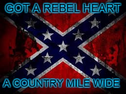 GOT A REBEL HEART; A COUNTRY MILE WIDE | image tagged in country | made w/ Imgflip meme maker