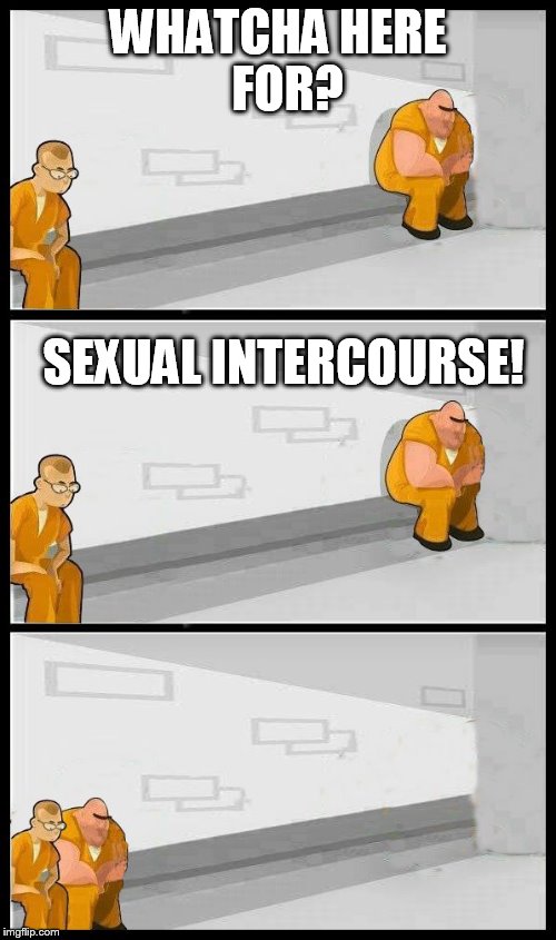 Prisoners Alternate |  WHATCHA HERE   FOR? SEXUAL INTERCOURSE! | image tagged in prisoners alternate | made w/ Imgflip meme maker