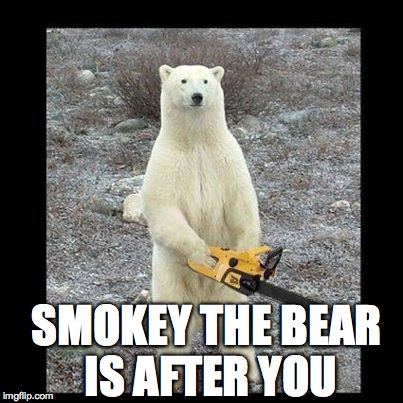 I used to just make a commercial or two, this seems to make people care a little more | SMOKEY THE BEAR IS AFTER YOU | image tagged in memes,smokey the bear,chainsaw bear | made w/ Imgflip meme maker