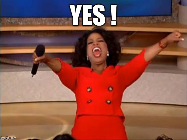 Oprah You Get A Meme | YES ! | image tagged in memes,oprah you get a | made w/ Imgflip meme maker