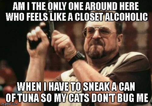 Am I The Only One Around Here Meme | AM I THE ONLY ONE AROUND HERE WHO FEELS LIKE A CLOSET ALCOHOLIC; WHEN I HAVE TO SNEAK A CAN OF TUNA SO MY CATS DON'T BUG ME | image tagged in memes,am i the only one around here | made w/ Imgflip meme maker