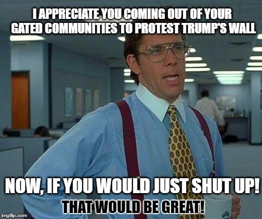 That Would Be Great Meme | I APPRECIATE YOU COMING OUT OF YOUR GATED COMMUNITIES TO PROTEST TRUMP'S WALL; NOW, IF YOU WOULD JUST SHUT UP! THAT WOULD BE GREAT! | image tagged in memes,that would be great | made w/ Imgflip meme maker
