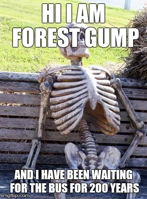 Waiting Skeleton | HI I AM FOREST GUMP; AND I HAVE BEEN WAITING FOR THE BUS FOR 200 YEARS | image tagged in memes,waiting skeleton | made w/ Imgflip meme maker