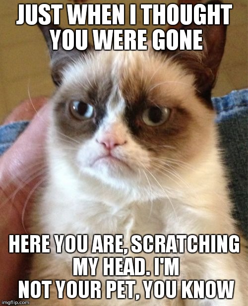Grumpy Cat Meme | JUST WHEN I THOUGHT YOU WERE GONE; HERE YOU ARE, SCRATCHING MY HEAD. I'M NOT YOUR PET, YOU KNOW | image tagged in memes,grumpy cat | made w/ Imgflip meme maker
