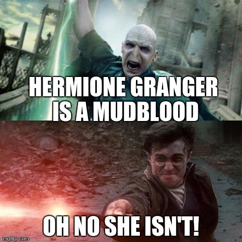 Harry Potter meme | HERMIONE GRANGER IS A MUDBLOOD; OH NO SHE ISN'T! | image tagged in harry potter meme | made w/ Imgflip meme maker