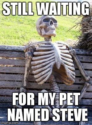 Waiting Skeleton | STILL WAITING; FOR MY PET NAMED STEVE | image tagged in memes,waiting skeleton | made w/ Imgflip meme maker