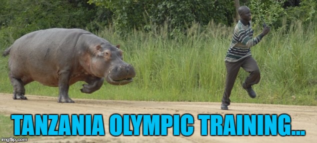 You won't be laughing when he gets the gold... | TANZANIA OLYMPIC TRAINING... | image tagged in hippo chasing human,memes,olympic training,animals,hippo | made w/ Imgflip meme maker