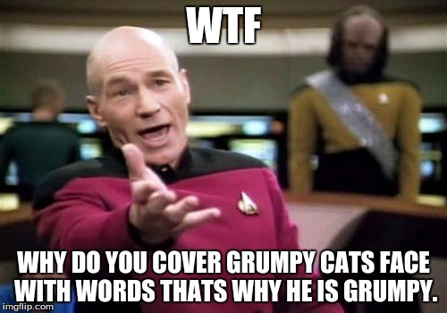 Picard Wtf | WTF; WHY DO YOU COVER GRUMPY CATS FACE WITH WORDS THATS WHY HE IS GRUMPY. | image tagged in memes,picard wtf | made w/ Imgflip meme maker