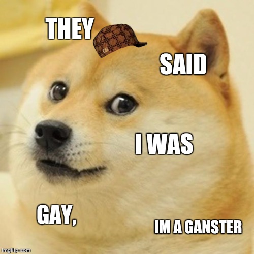 Doge Meme | THEY; SAID; I WAS; GAY, IM A GANSTER | image tagged in memes,doge,scumbag | made w/ Imgflip meme maker