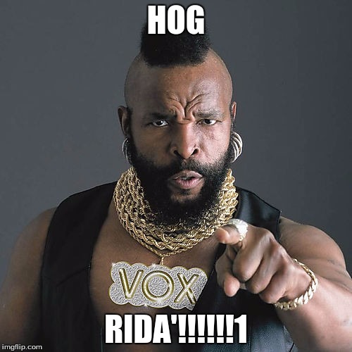 Mr T Pity The Fool | HOG; RIDA'!!!!!!1 | image tagged in memes,mr t pity the fool | made w/ Imgflip meme maker