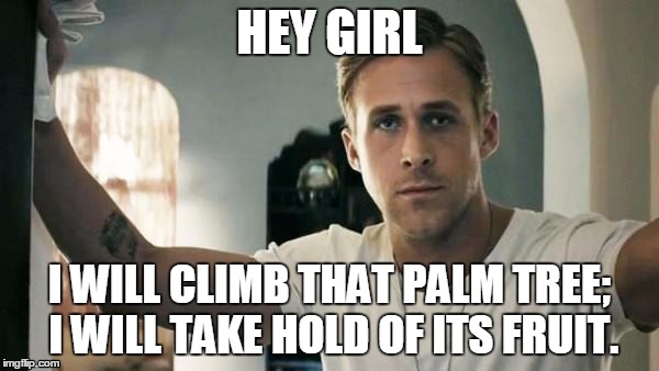 hey girl | HEY GIRL; I WILL CLIMB THAT PALM TREE; I WILL TAKE HOLD OF ITS FRUIT. | image tagged in hey girl | made w/ Imgflip meme maker